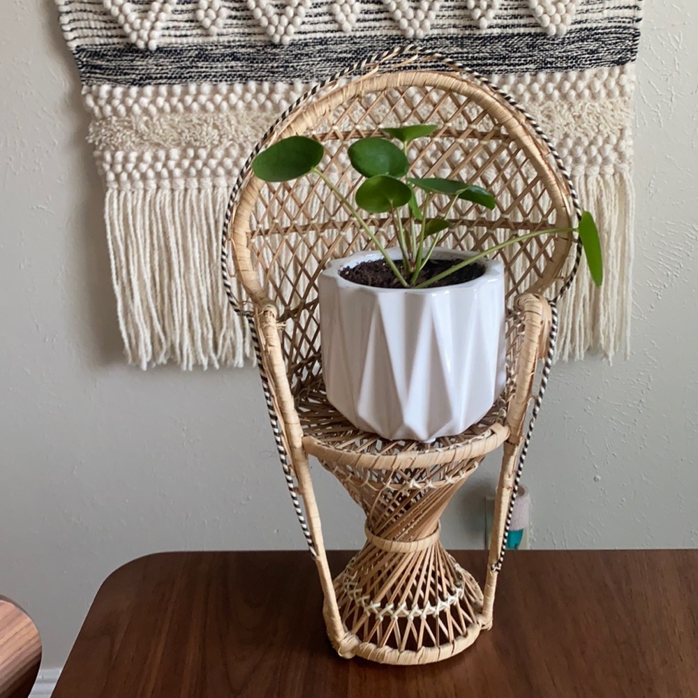 Mini Peacock chair